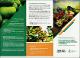 INFORMACIÓN BÁSICA PARA LA IMPORTACIÓN, ACCESO Y PROTECCIÓN DE VARIEDADES VEGETALES.pdf.jpg