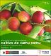 Determinación de la Demanda Tecnológica del cultivo de camu camu en las Provincias de Requena y Loreto, Región Loreto - 2015.pdf.jpg